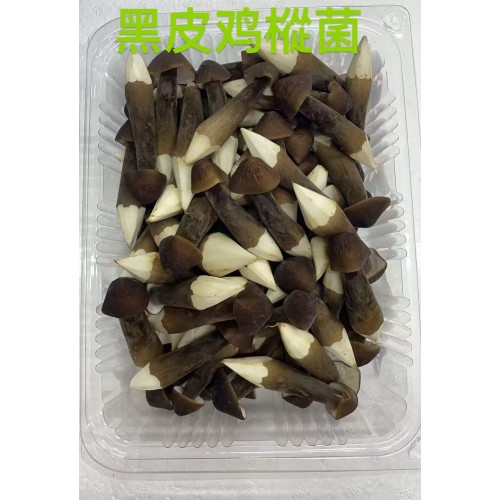 黑皮雞樅茸